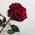 Download lolaebunny OnlyFans leaks for free 

 profile picture