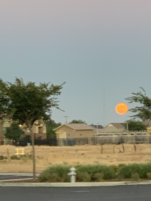 Header of lovelymaudii