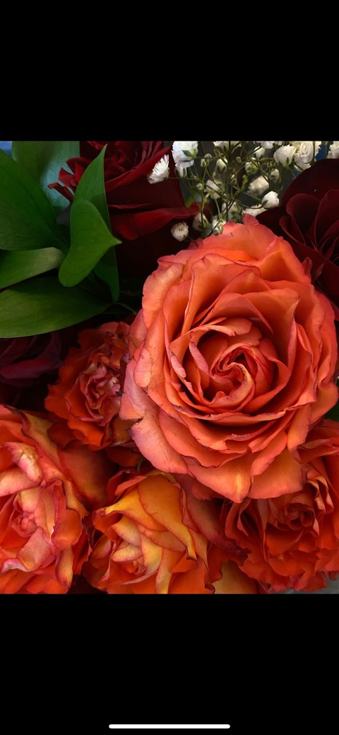 Header of luckyxpenny