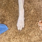 lyriaa OnlyFans Leak 

 profile picture