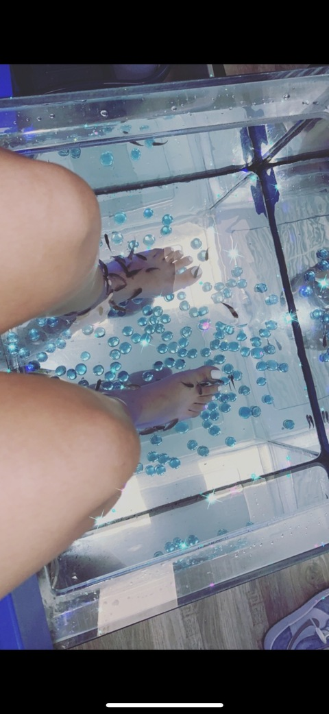 Header of maddiexoxo