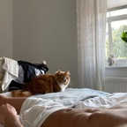 manuel_siffredi OnlyFans Leak 

 profile picture