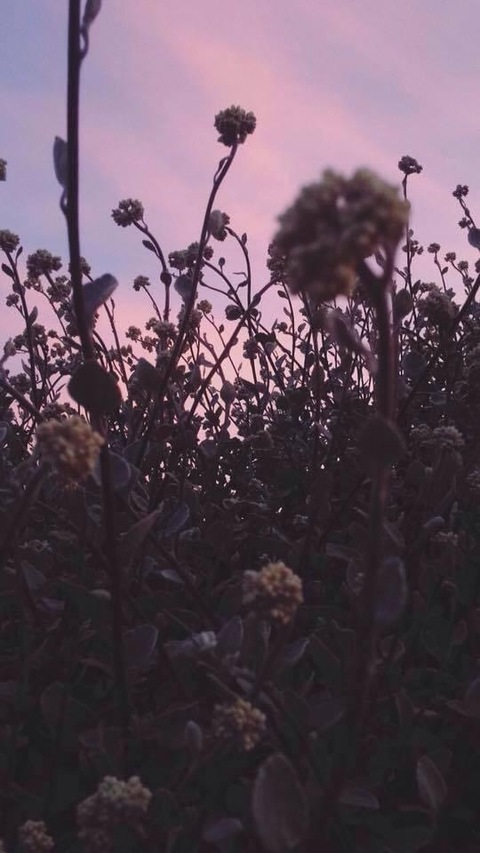 Header of maritzaalvec