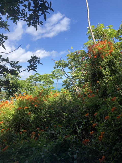 Header of mayyouneverfindout