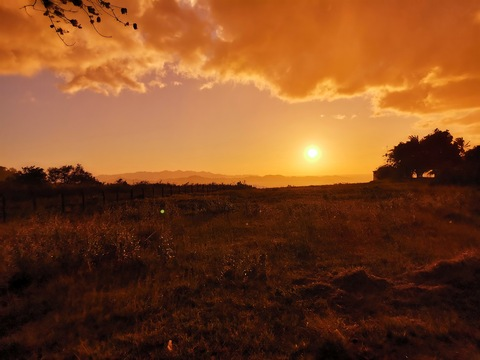 Header of melany38050266