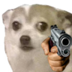 memes4free OnlyFans Leak 

 profile picture