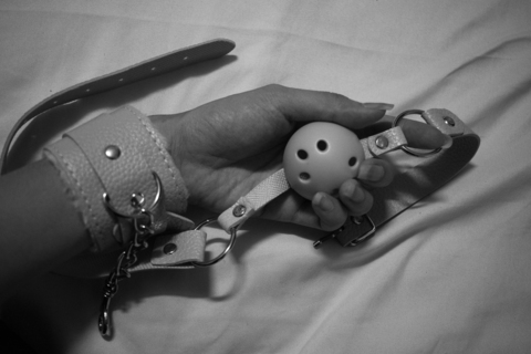 Header of michilootv