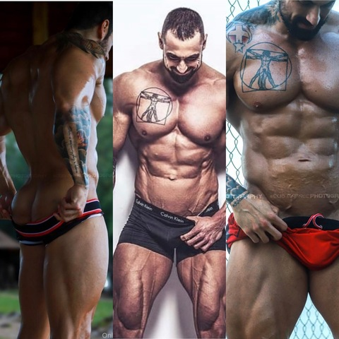 Header of middleast_muscle_lv