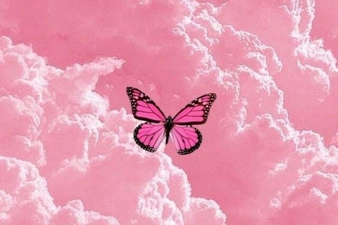 Header of miira_mains