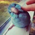 Download mikuru OnlyFans leaks for free 

 profile picture