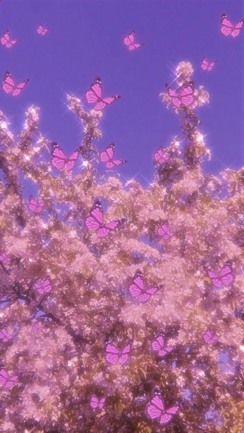 Header of milayla