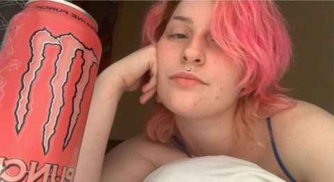 Header of milkmoola