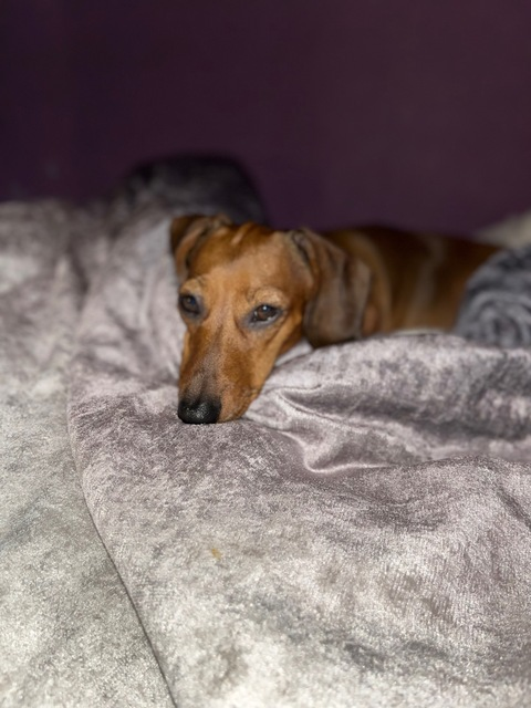 Header of milly21xoxo