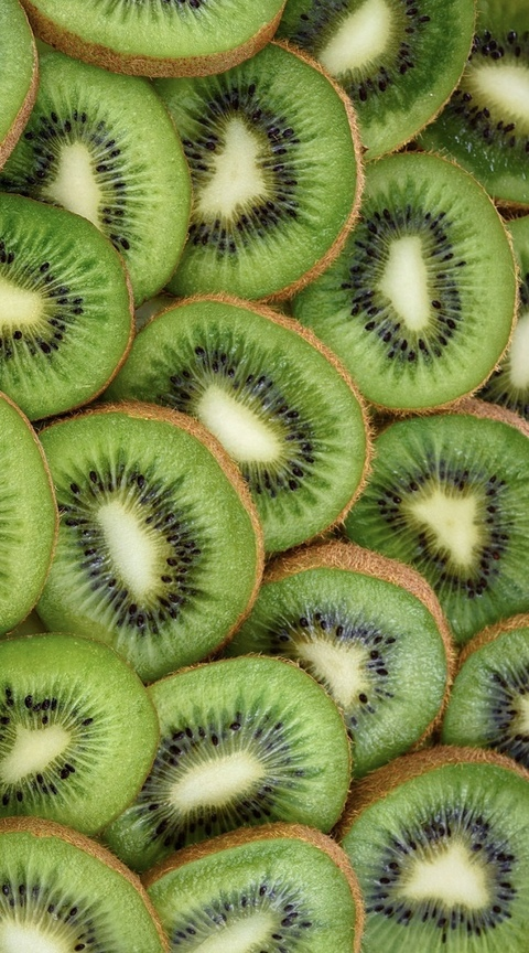 Header of miss_stevie_ious