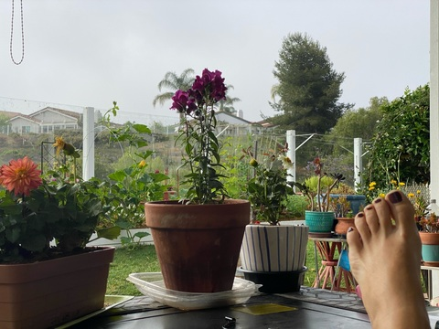 Header of missmatriarch