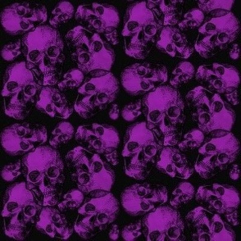 Header of missxnikki