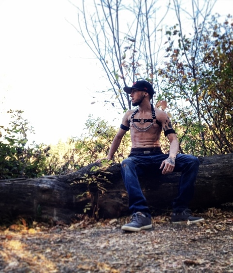Header of mister_adventurous