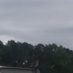 mlp__darkbolt (Ded) OnlyFans Leaked Videos and Pictures 

 profile picture