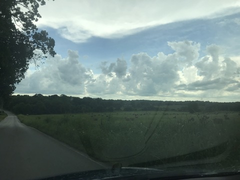 Header of morganbrooke