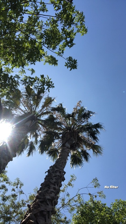 Header of morochitahotarg