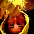 Onlyfans leaks mr.niceguyy 

 profile picture