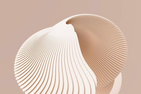 Header of namhoang_xprl