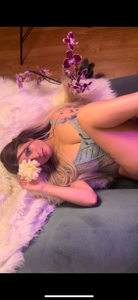 Header of nancydiamonds1