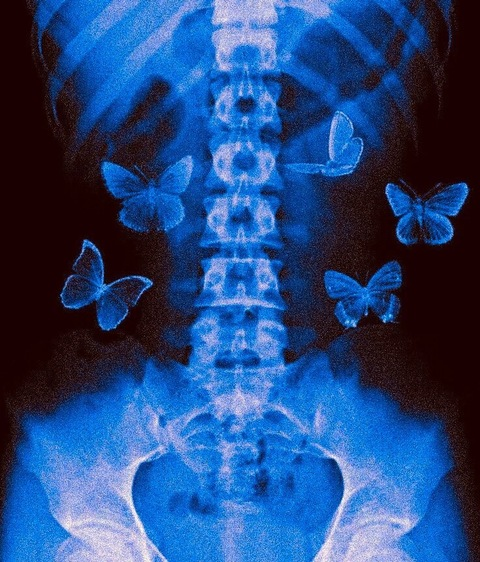 Header of nataalicious