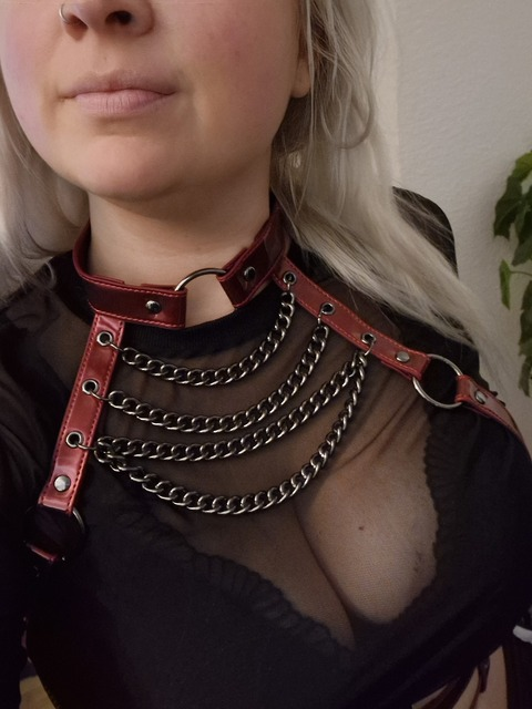 Header of nekoslittlepaws