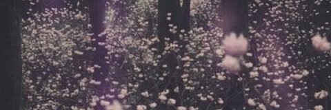 Header of nichelley72