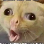 Nickxoxo @nickxoxo Leak OnlyFans 

 profile picture