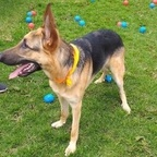 nicolas chitiva @nicolasacosta Leak OnlyFans 

 profile picture