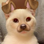noonz (n00nz) OnlyFans Leaks 

 profile picture