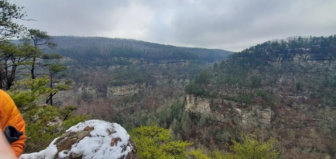 Header of nunchuckmcgee