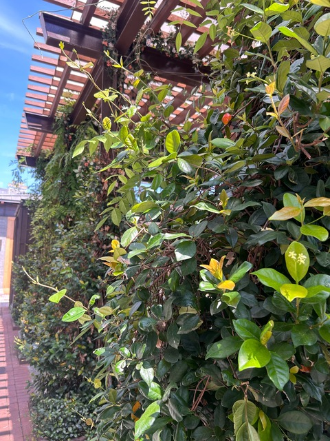 Header of offical_val