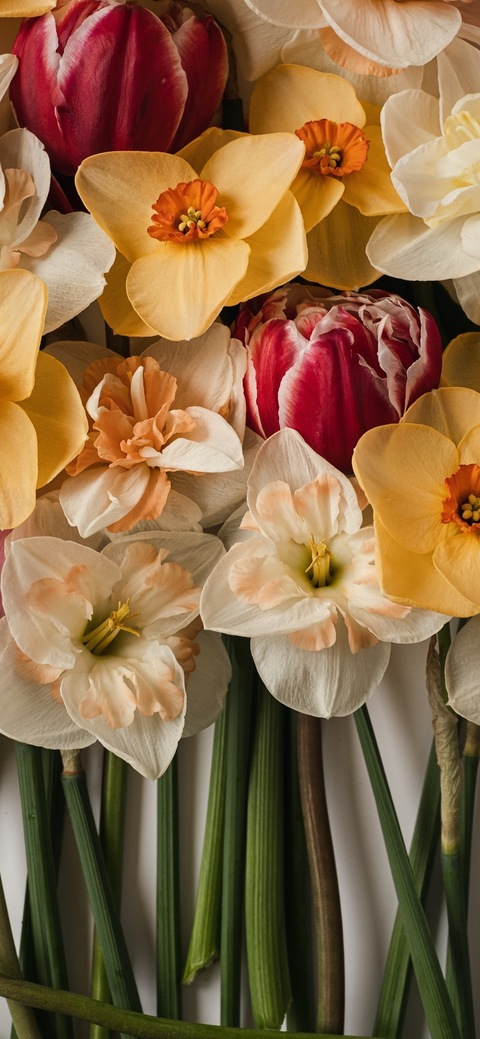 Header of onceuponanamber