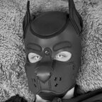 onestretchypup (OneStretchyPup) OnlyFans content 

 profile picture
