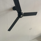 only.fan (onlyfan) OnlyFans content 

 profile picture