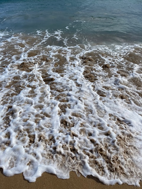 Header of paigeeee143