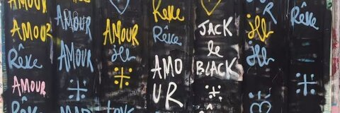 Header of paulinabundis