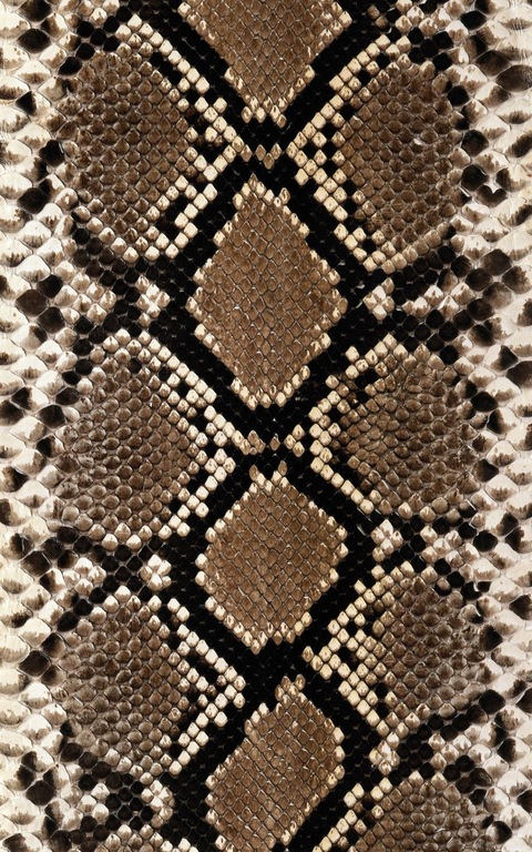 Header of peachyvixenxo