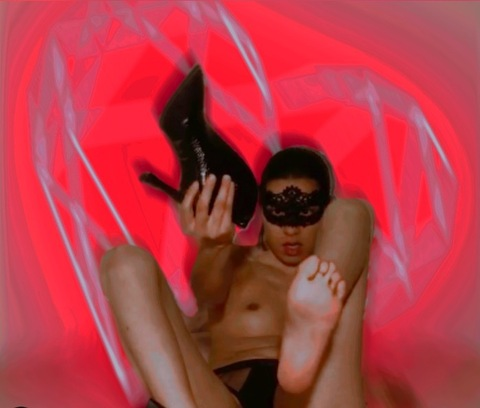 Header of petiteleyla