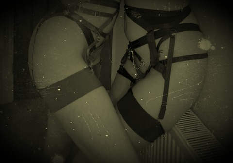 Header of pheeprincess