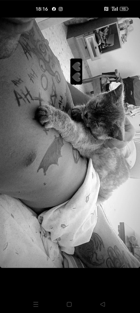 Header of pieromoretti