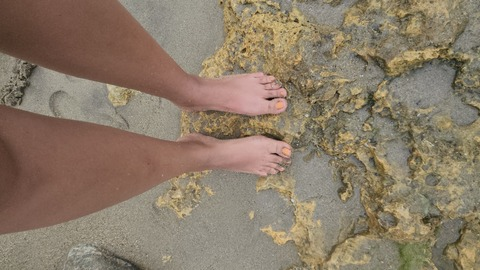 Header of piespretty