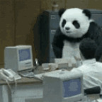 Download piezoelectric OnlyFans videos and photos for free 

 profile picture