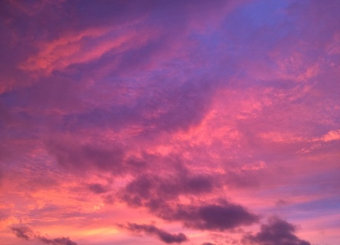 Header of pizzacatkush