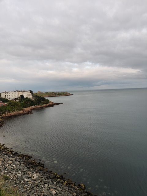 Header of playtoyfordaddy