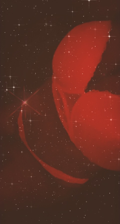 Header of plus-size-princess