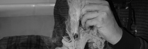 Header of plutinus